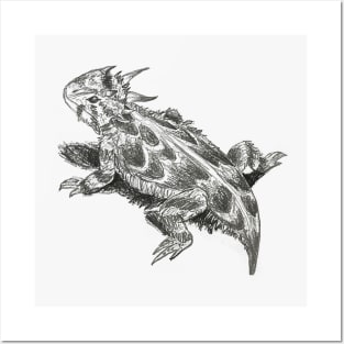 Horned Toad Posters and Art